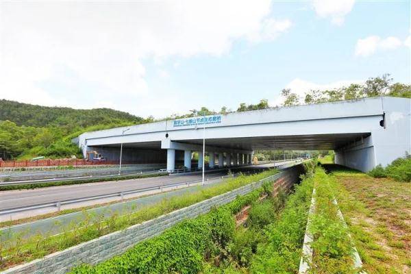 深圳为野生动物搭一座专用桥，深圳野生动物园有多大-第2张