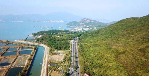 深圳为野生动物搭一座专用桥，深圳野生动物园有多大-第4张