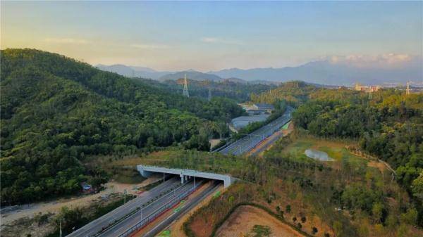 深圳为野生动物搭一座专用桥，深圳野生动物园有多大-第5张