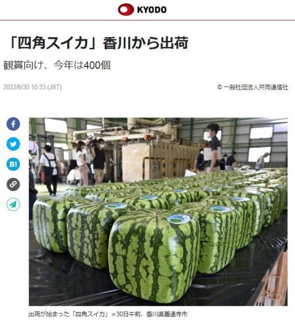 能看不宜吃日本（日本的西瓜是正方形的吗）-第1张